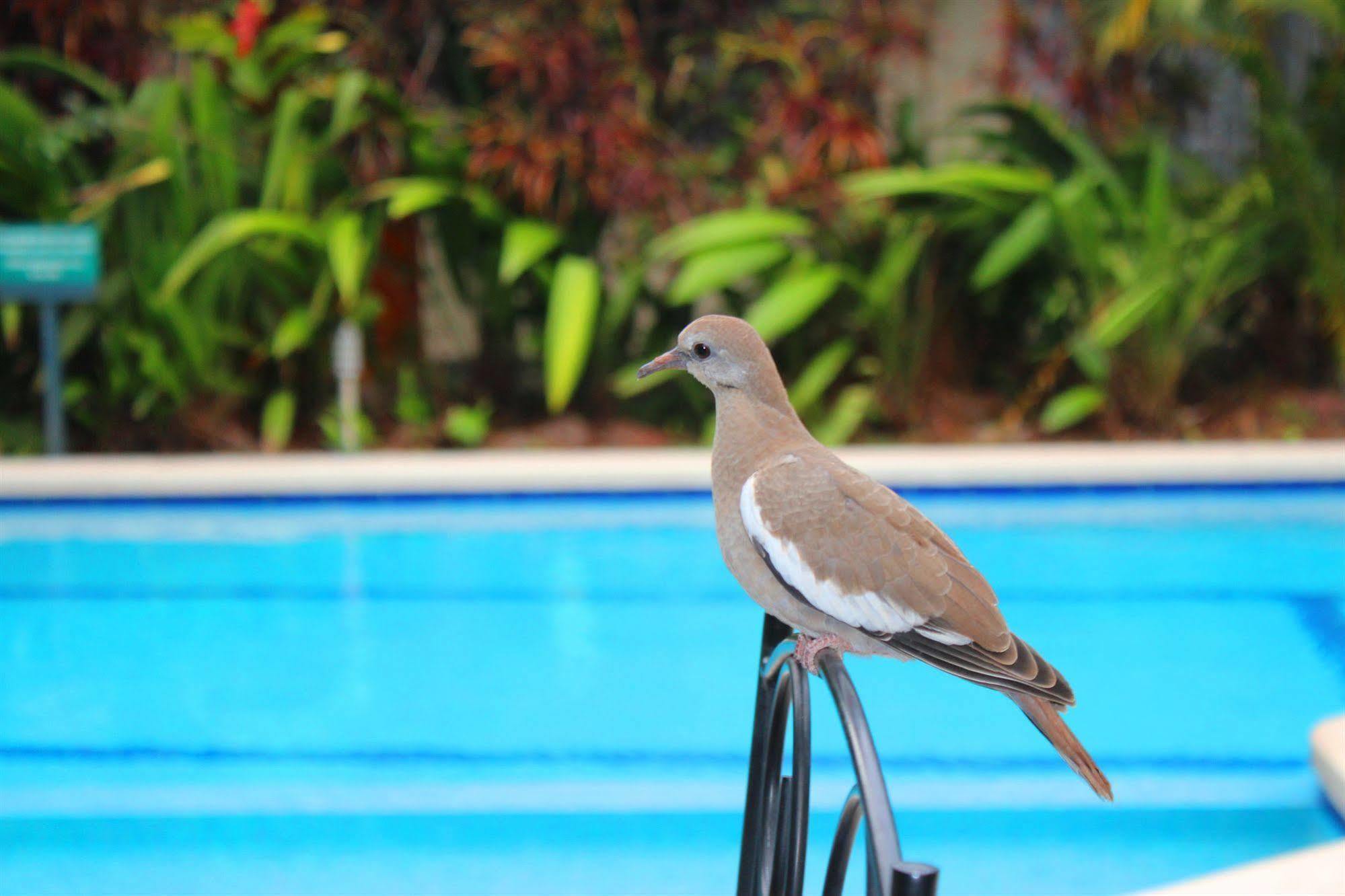 Soluxe El Sesteo Hotel San José Dış mekan fotoğraf